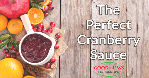 The Perfect Cranberry Sauce