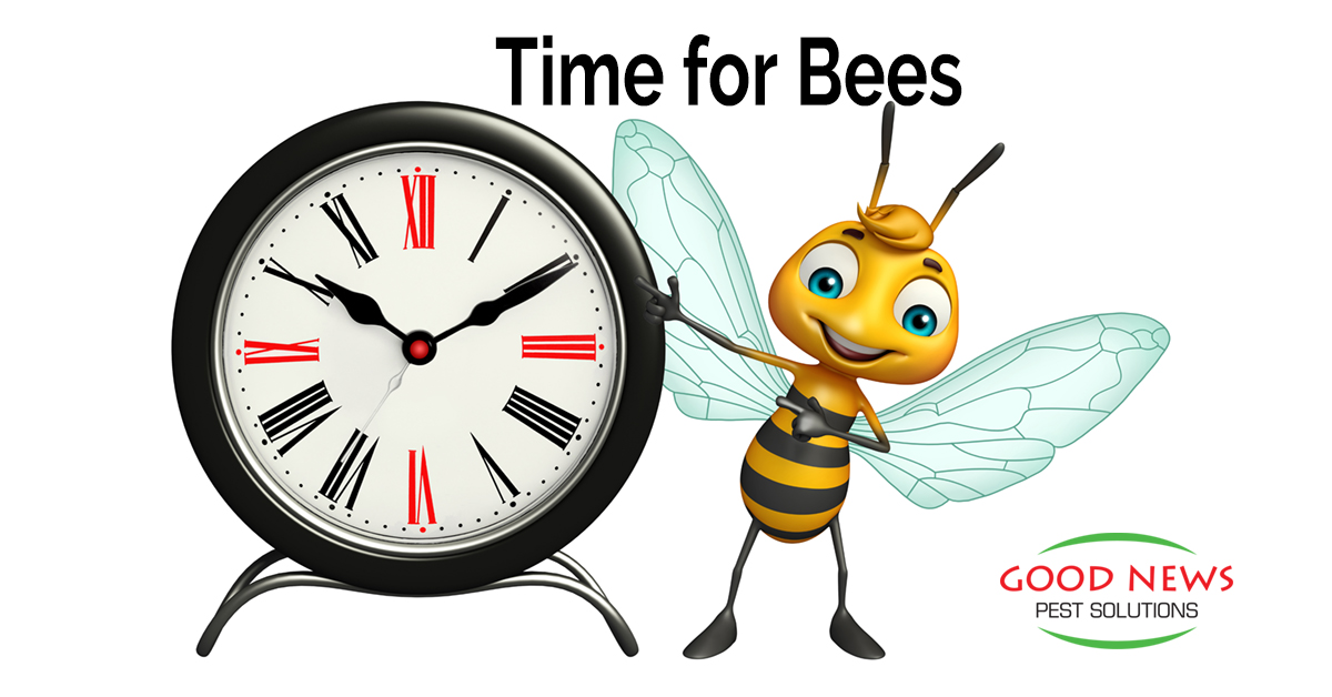 Time for Bees
