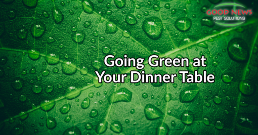 Ways to Go Green with Your Meals