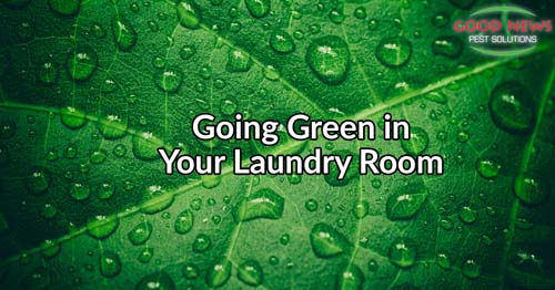 Going Green in Your Laundry Room