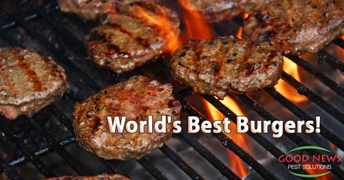 World's Best Burgers