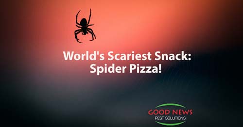 World's Scariest Snack: Spider Pizza!