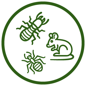 bugging, emergency, pest control, florida