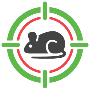 rodents, pest control services, florida pests, solutions