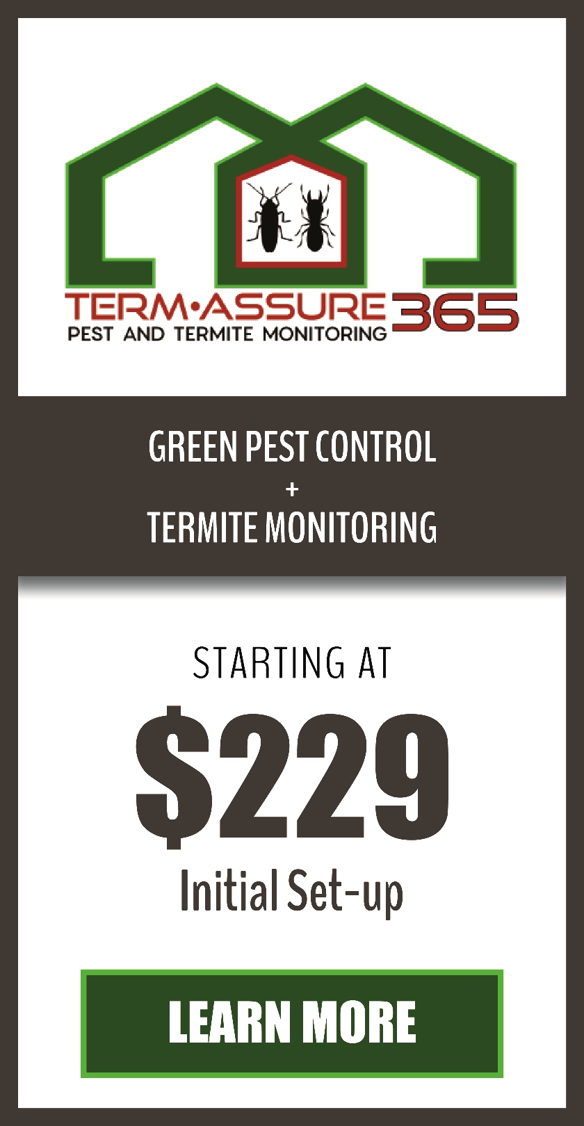 premium, term assure 365, termite, pests, protection, green pest control