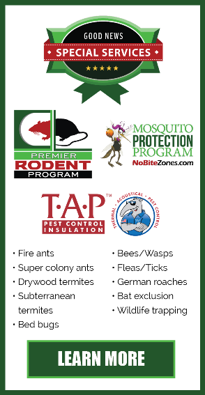 special services, rodent, TAP, mosquito protection program, good news pest solutions