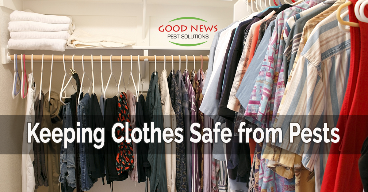 Keeping Clothes Safe from Pests Pest Control in Venice, FL Good