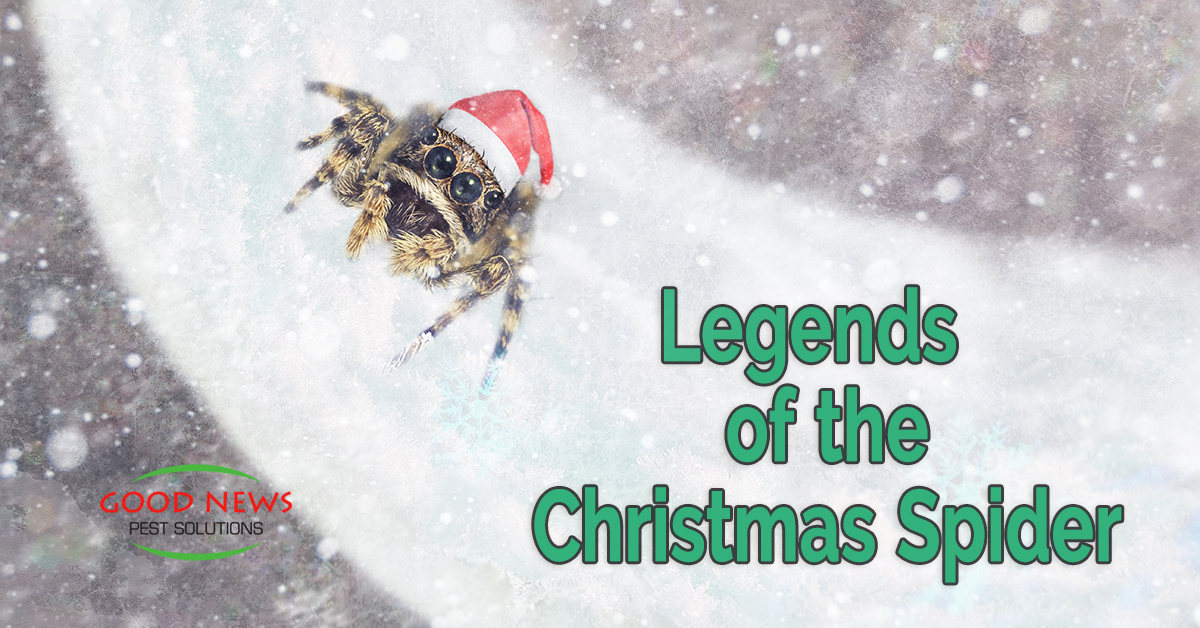 Legends of the Christmas Spider