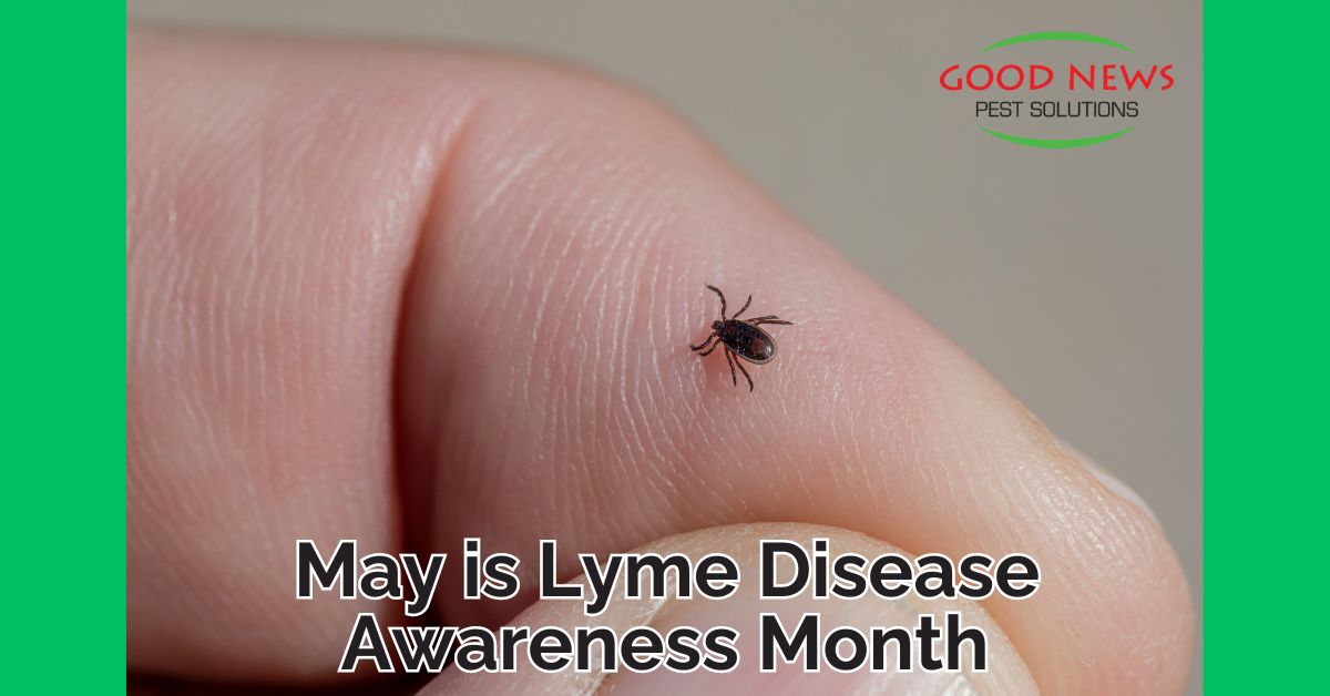 May is Lyme Disease Awareness Month