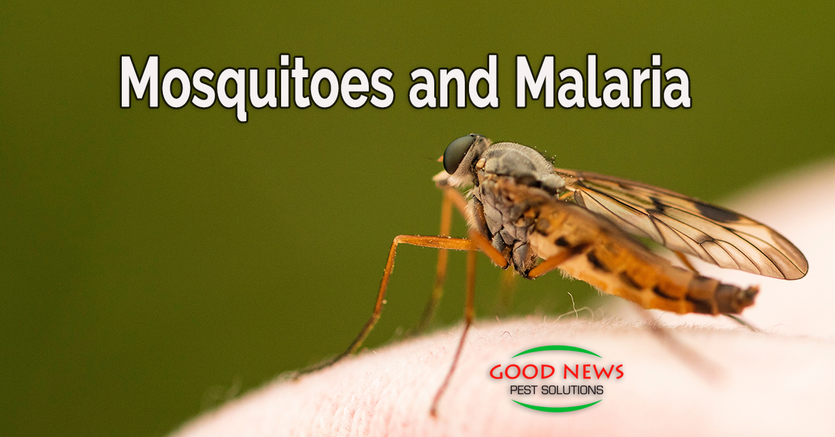 Mosquitoes and Malaria