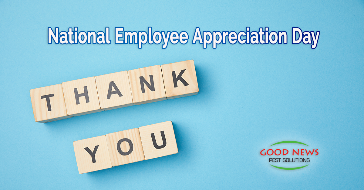 National Employee Appreciation Day Pest Control in Venice, FL Good