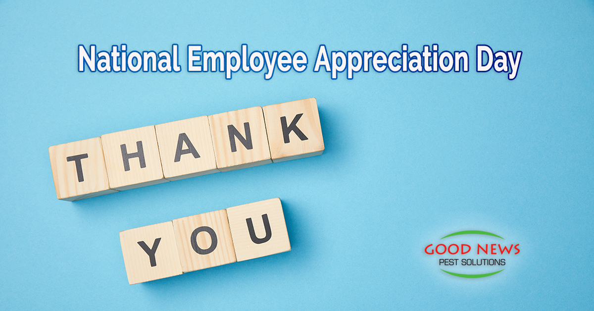 National Employee Appreciation Day