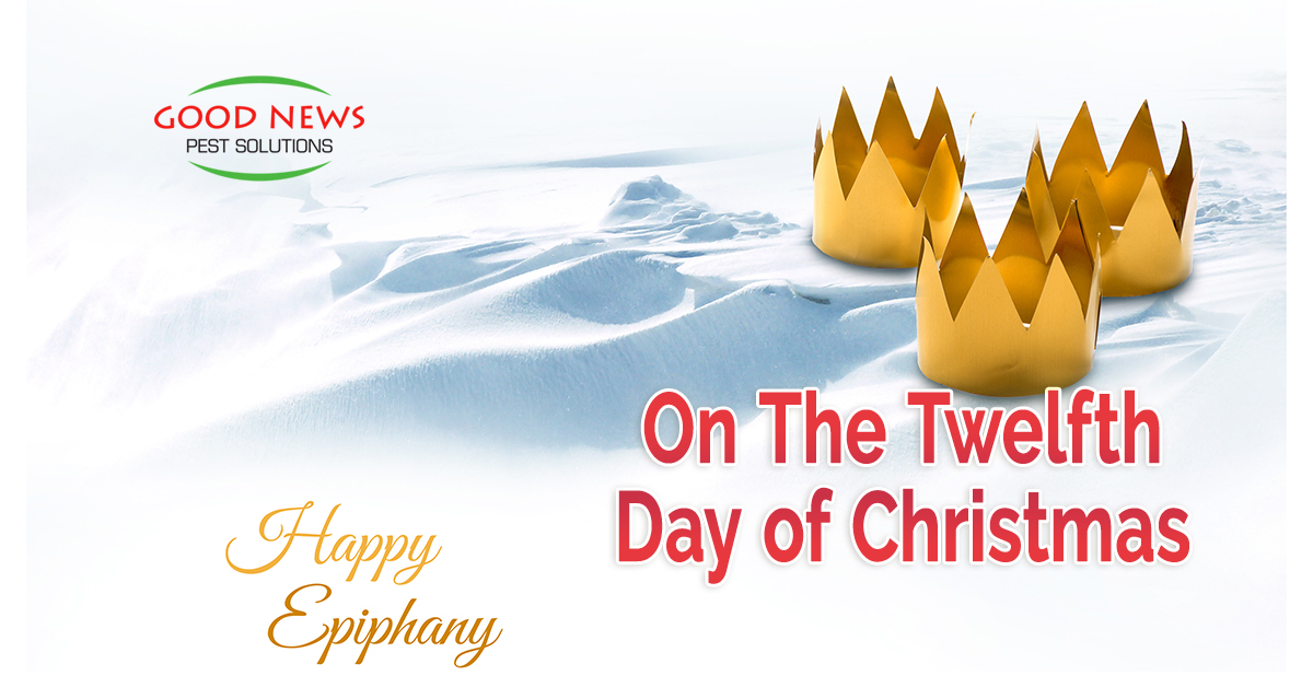 On The Twelfth Day of Christmas