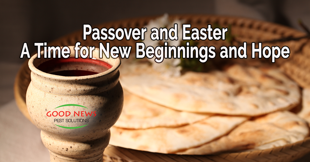 Passover and Easter - A Time for New Beginnings and Hope - Pest