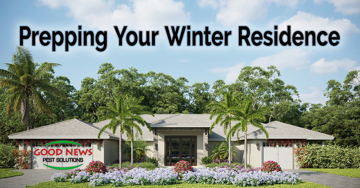 Prepping your Winter Residence Pest Control in Venice, FL Good News