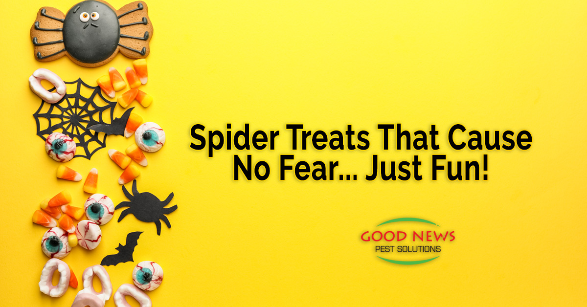 Spider Treats That Cause No Fear... Just Fun!