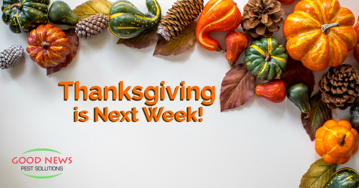 Thanksgiving is Next Week!