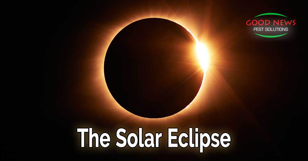 The Solar Eclipse