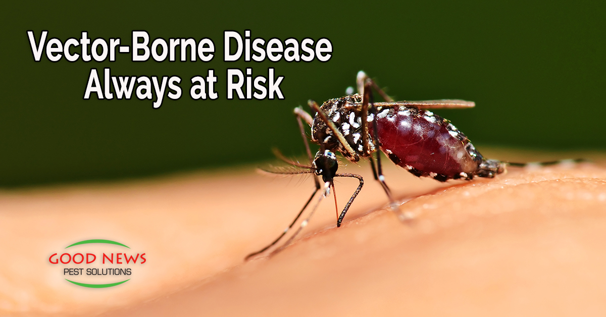 Vector-Borne Disease - Always at Risk