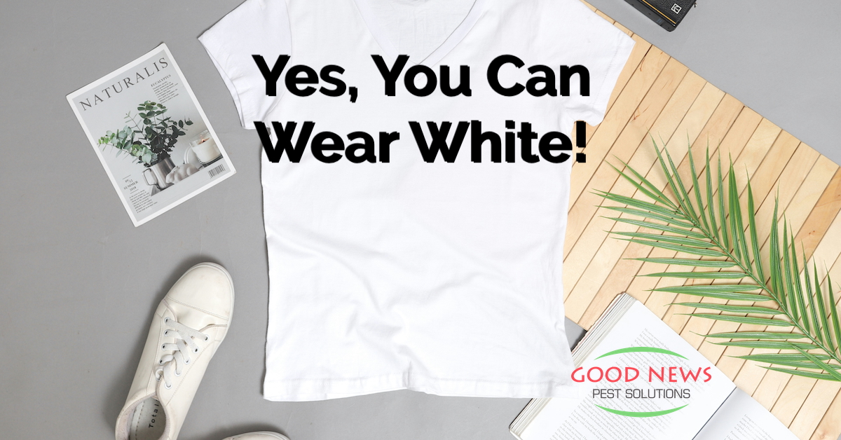 Yes, You Can Wear White!